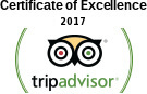 Trip Advisor